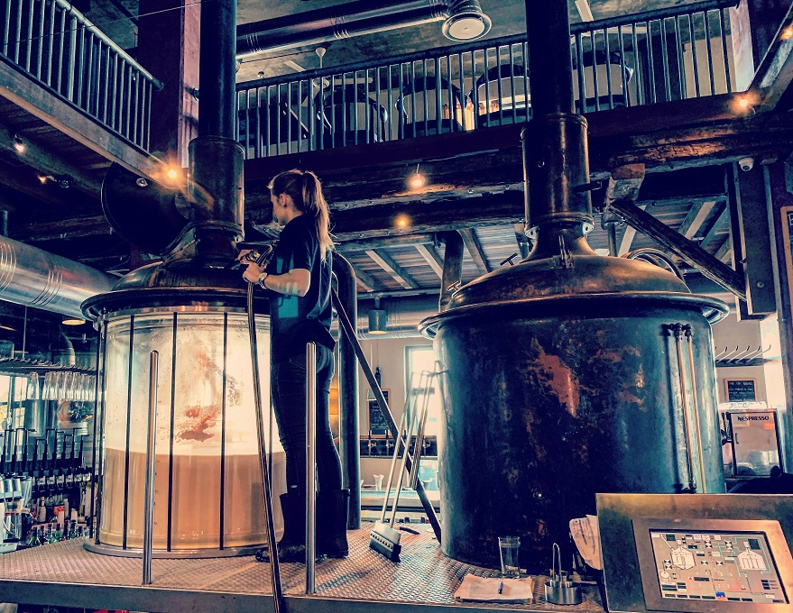 Flying Dodo_Mauritius